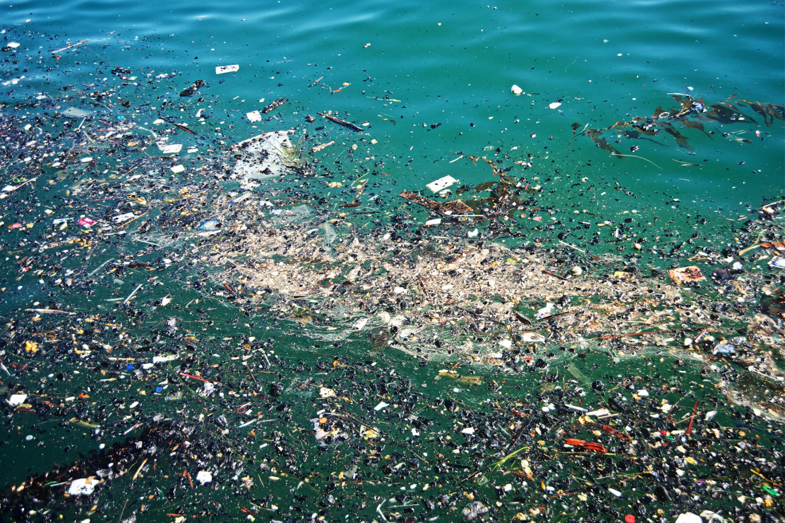 “塑膠將淹沒地球”的图片搜索结果